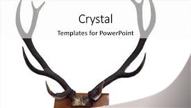  Presentation with clipping - Cool new PPT theme with 10 point mounted stag horns backdrop and a white colored foreground