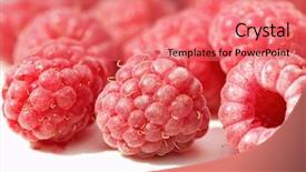  Presentation with light shade nluie - Audience pleasing presentation theme consisting of 100 day - closeup of two raspberries isolated backdrop and a  colored foreground