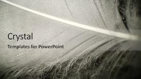  Presentation with duck - Beautiful PPT layouts featuring microscope photographed at 1000 backdrop and a light gray colored foreground