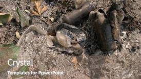  Presentation with heat - Amazing theme having 1000 to 1500 degree backdrop and a coral colored foreground