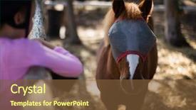  Presentation with ranch - Slide deck having 12 days holidays - girl feeding the horse background and a  colored foreground