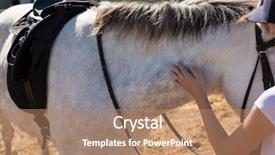  Presentation with ranch - Presentation theme with 12 days holidays - girl touching white horse background and a coral colored foreground