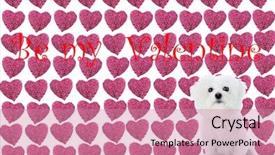  Presentation with pink roses - Presentation theme having 14th feb - purebred bichon frise sits infront background and a coral colored foreground