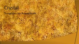  Presentation with 1970 - Slide set having 1970 - gold shag carpet background and a gold colored foreground