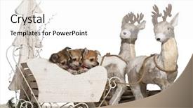  Presentation with white christmas - Audience pleasing slide set consisting of 2 months old in christmas backdrop and a white colored foreground