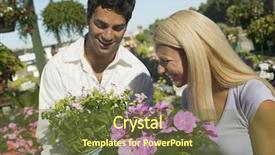  Presentation with diabetes treatment frpm medicinal plants - PPT theme enhanced with 20 s lady - couple shopping for plants background and a  colored foreground