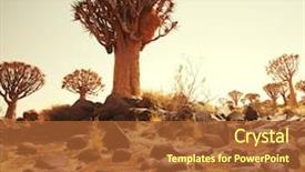  Presentation with african - Amazing slide deck having 2008 - african landscapes backdrop and a red colored foreground