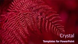  Presentation with fall color - PPT theme consisting of 2023-color-viva-magenta-dark background and a wine colored foreground