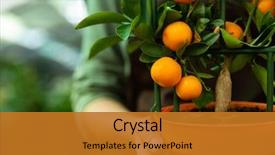  Presentation with apron - Amazing presentation theme having 20s wearing apron holding orange backdrop and a gold colored foreground