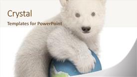  Presentation with polar bear - Cool new PPT layouts with 3 months old with globe backdrop and a lemonade colored foreground