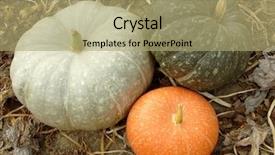  Presentation with colorful - PPT layouts consisting of 3 colors - three colorful pumpkins background and a mint green colored foreground