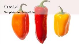  Presentation with blank whiteboard isolated on white - Cool new slide set with 3 colors - three fun peppers isolated backdrop and a lemonade colored foreground