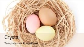  Presentation with eggs egg carton egg box - Cool new slides with 3 colors - three multicolored easter eggs are backdrop and a coral colored foreground