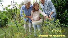  Presentation with vegetable garden - Colorful slide set enhanced with 3-generation-family picking tomatoes in vegetable garden backdrop and a tawny brown colored foreground