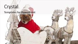  Presentation with 4 years old children and doctor - Beautiful PPT theme featuring 3 years old in christmas backdrop and a white colored foreground