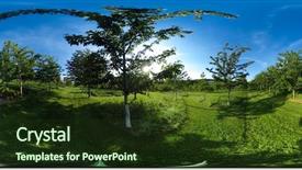  Presentation with botanical - Beautiful slides featuring 360 degrees spherical panorama backdrop and a tawny brown colored foreground