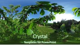  Presentation with botanical garden - Beautiful PPT theme featuring 360 degrees spherical panorama backdrop and a tawny brown colored foreground
