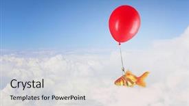  Presentation with goldfish - Beautiful presentation theme featuring intelligent coragous - goldfish fly on balloon mixed backdrop and a light gray colored foreground