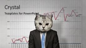  Presentation with cat - Cool new slides with 3d character - cat in business suit mixed backdrop and a light gray colored foreground