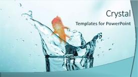 Presentation with water glass - Cool new slide set with 3d goldfish swimming with mouth backdrop and a  colored foreground