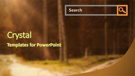  Presentation with search - Amazing PPT layouts having 3d heart rate - digital composite of search bar backdrop and a tawny brown colored foreground