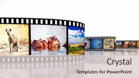  Presentation with film strip - Audience pleasing theme consisting of 3d image of film strip backdrop and a light gray colored foreground
