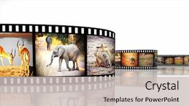 Presentation with film strip - Cool new slides with 3d image of film strip backdrop and a light gray colored foreground