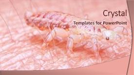  Presentation with louse - Colorful PPT layouts enhanced with 3d little humans - 3d rendered illustration backdrop and a lemonade colored foreground