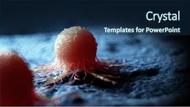  Presentation with cancer cell - Theme with 3d rendered medically accurate illustration background and a navy blue colored foreground