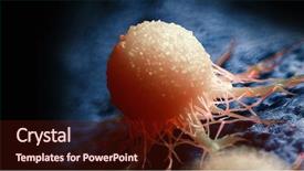  Presentation with cancer cell - Theme enhanced with 3d rendered medically accurate illustration background and a tawny brown colored foreground