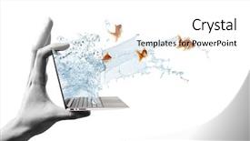  Presentation with fish - Presentation design having 3d water technology - close up of laptop background and a white colored foreground
