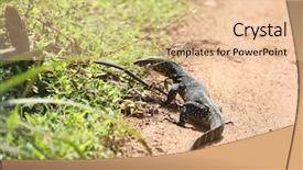  Presentation with varanus - PPT theme consisting of 3m - sri lankan water monitor varanus background and a lemonade colored foreground