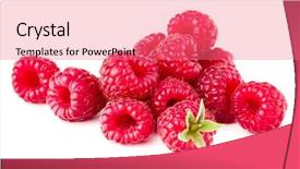  Presentation with ripe golden potato on white - Beautiful PPT theme featuring 4 raw - ripe raspberries isolated on white backdrop and a coral colored foreground