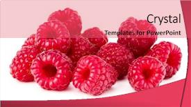  Presentation with white - Cool new presentation theme with 4 raw - ripe raspberry raspberries isolated backdrop and a coral colored foreground