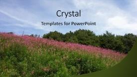  Presentation with pasture - Amazing presentation theme having 43 - high mountain pasture 0815_43 backdrop and a  colored foreground