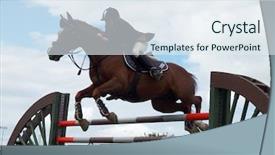  Presentation with new zealand - Slides having 5 champion - hastings - march 5 competitor background and a sky blue colored foreground