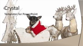  Presentation with black and white old phone - Audience pleasing PPT theme consisting of 5 months old in christmas backdrop and a white colored foreground