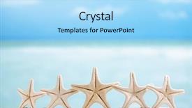  Presentation with fish beach - Cool new PPT theme with 5 stars - 5 star fish white starfish backdrop and a light blue colored foreground
