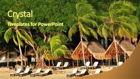  Presentation with luxury - Cool new presentation theme with 5 stars - luxury exotic beach with palms backdrop and a tawny brown colored foreground