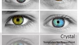  Presentation with colorful eye - Colorful PPT layouts enhanced with weathered grey window with his rusty hinge backdrop and a light gray colored foreground