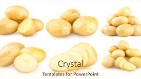  Presentation with white - Colorful slide deck enhanced with 6 images of potatoes isolated backdrop and a cream colored foreground