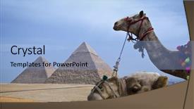  Presentation with camel caravan egypt - Cool new presentation theme with 7 ancient wonders world - close up of camels backdrop and a light blue colored foreground