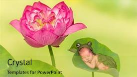  Presentation with old days - Beautiful presentation featuring 7 days old newborn baby backdrop and a yellow colored foreground