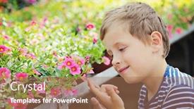  Presentation with kids garden - Audience pleasing PPT layouts consisting of 7 years old boy in his flower garden - kids and family backdrop and a coral colored foreground