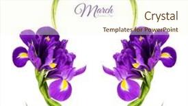  Presentation with iris - Audience pleasing presentation theme consisting of abstract 8 - greeting card international women's day backdrop and a  colored foreground
