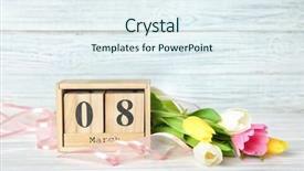  Presentation with tulips - Presentation design featuring 8 blocks text - block calendar and tulips background and a  colored foreground