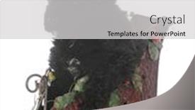  Presentation with santa sleigh - Beautiful presentation featuring 8 week old male bouvier des flandres puppy riding in santa's sleigh on white background backdrop and a light gray colored foreground