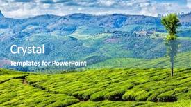  Presentation with green travel - PPT theme consisting of 16 9 - kerala india travel background background and a  colored foreground