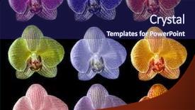  Presentation with orchid - Slides consisting of 9 petal - set of nine colors orchid background and a navy blue colored foreground