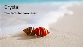  Presentation with sea glass - Slide deck featuring water - glass tropical sea shell background and a light blue colored foreground